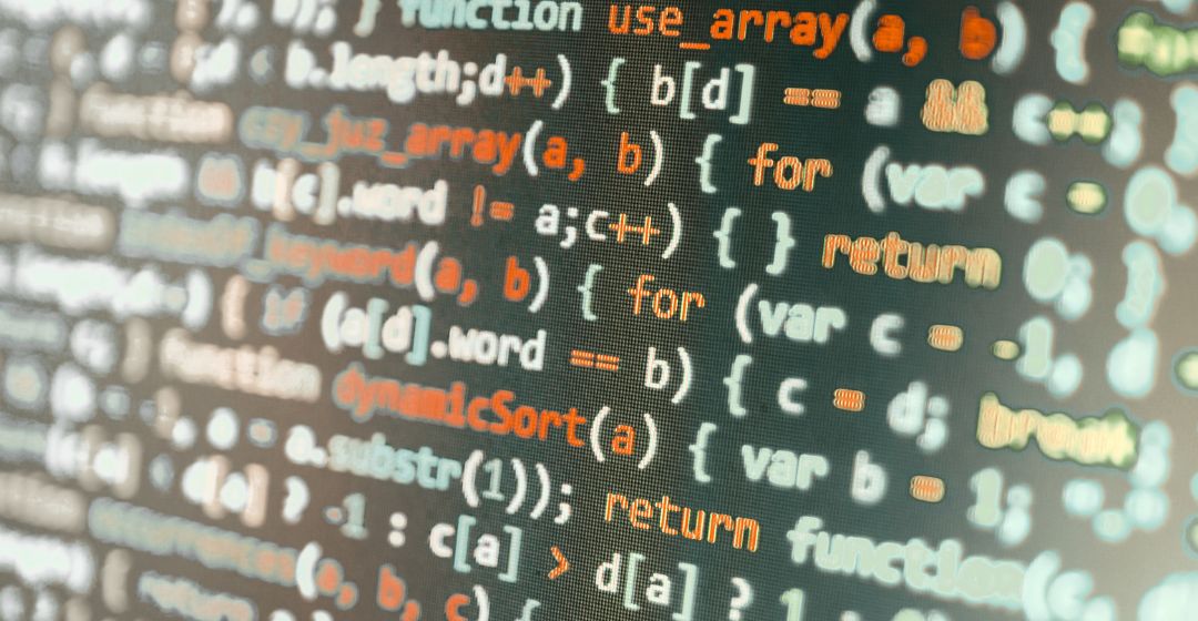website project development phase